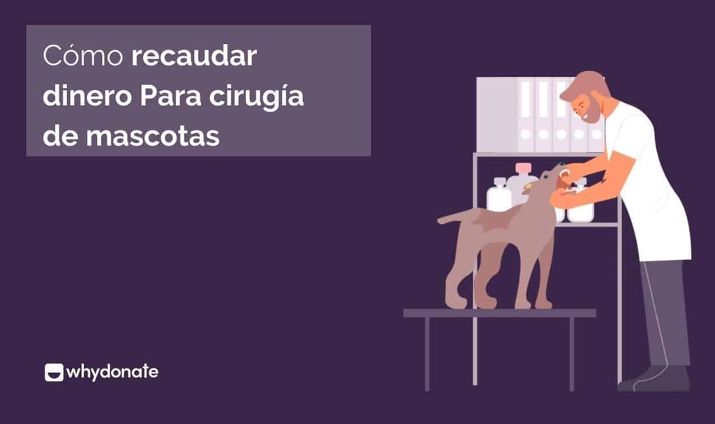 Recaudar Dinero para la Cirugía de Mascotas