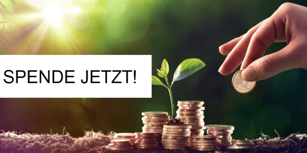 Nonprofit fundraising