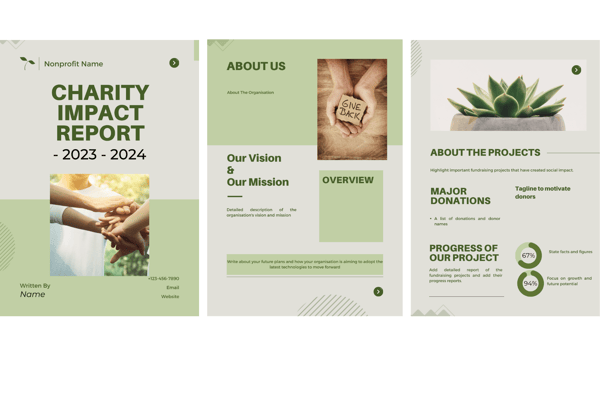 nonprofit impact report examples