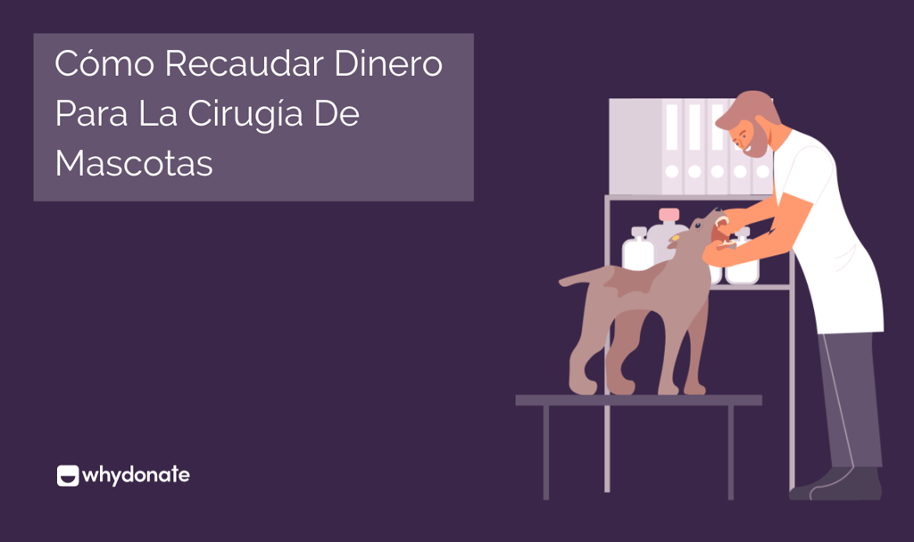 Cómo Recaudar Dinero Para La Cirugía de Mascotas