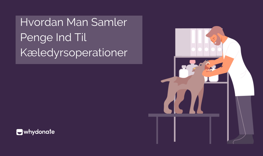 Hvordan Man Samler Penge Ind Til Kæledyrskirurgi