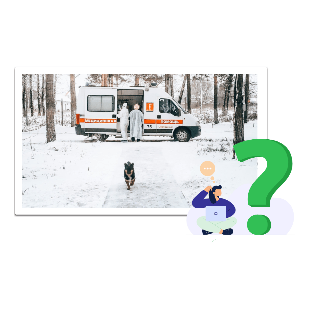 Animal Transportation