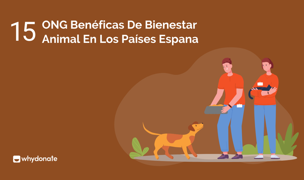 ONG Benéficas De Bienestar Animal En Los Países Espana