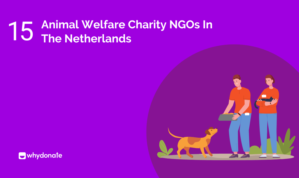 Animal Welfare Charity NGOs