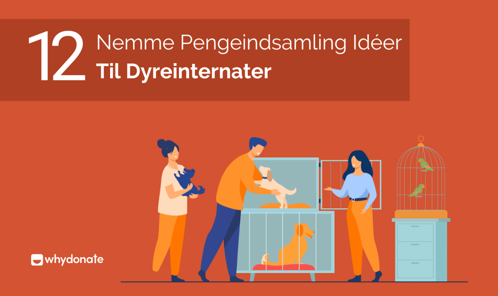 Nemme Pengeindsamling Idéer Til Dyreinternater