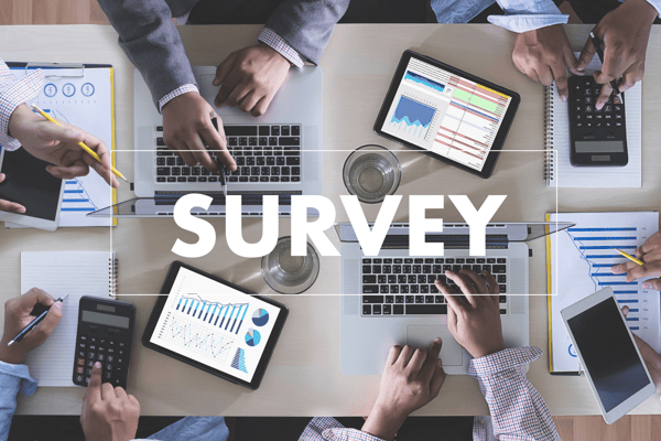 donor survey examples