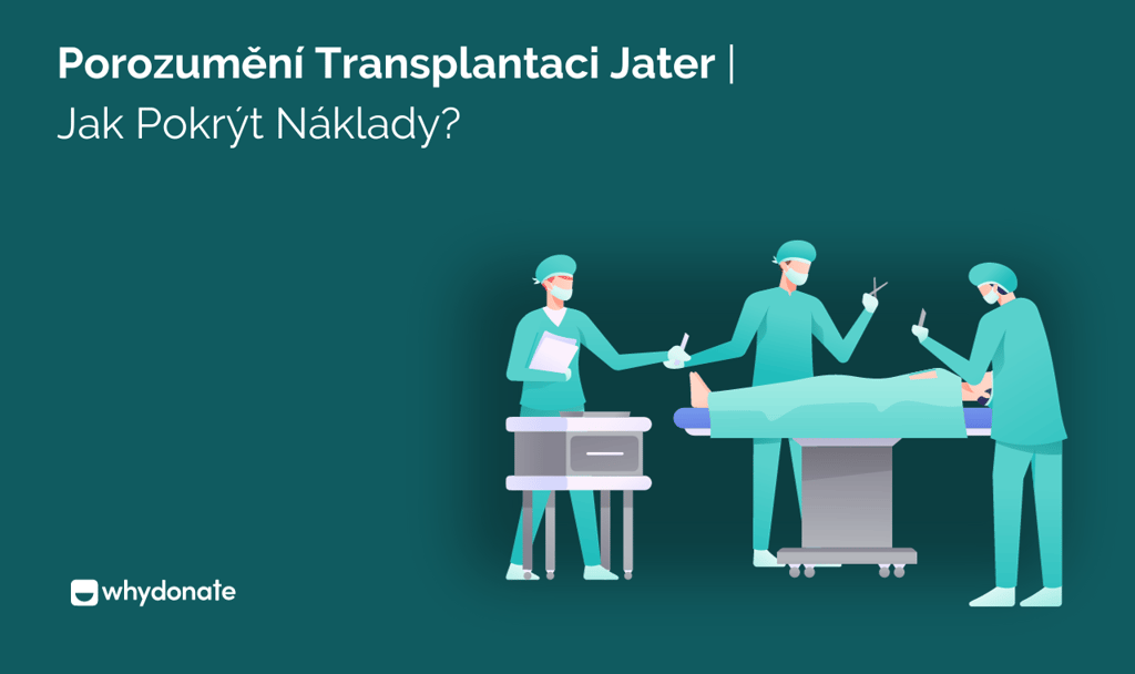 Porozumění Transplantaci Jater