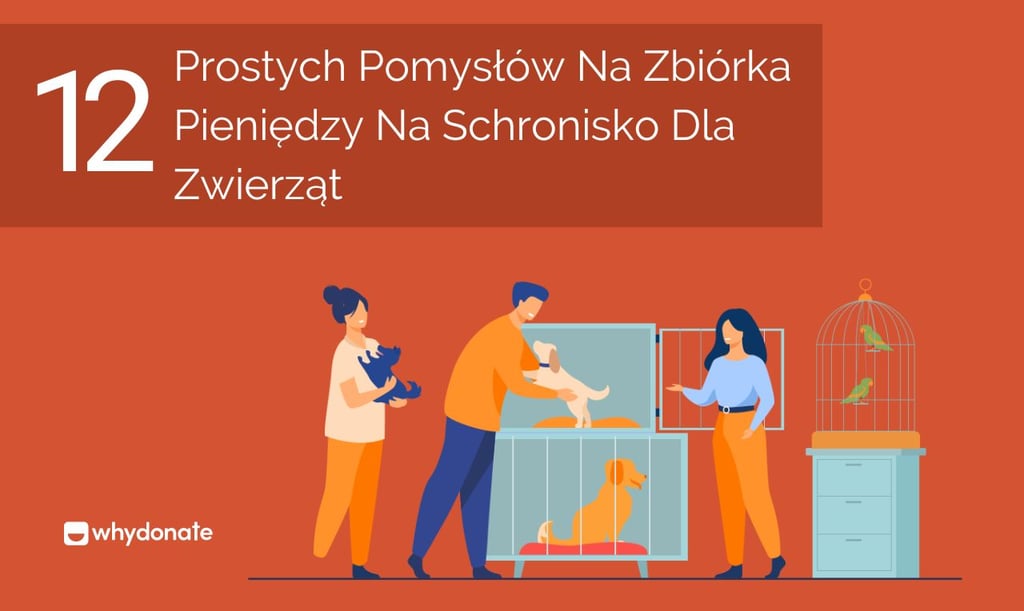zbiórka pieniędzy na schronisko dla zwierząt