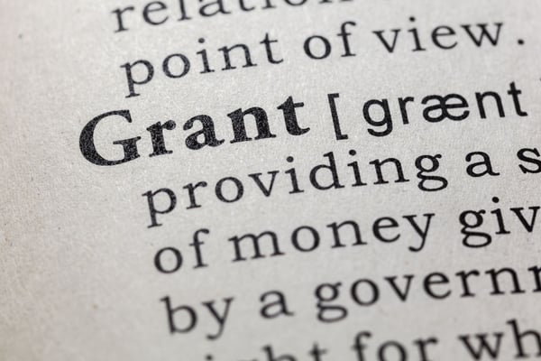 grant proposal example