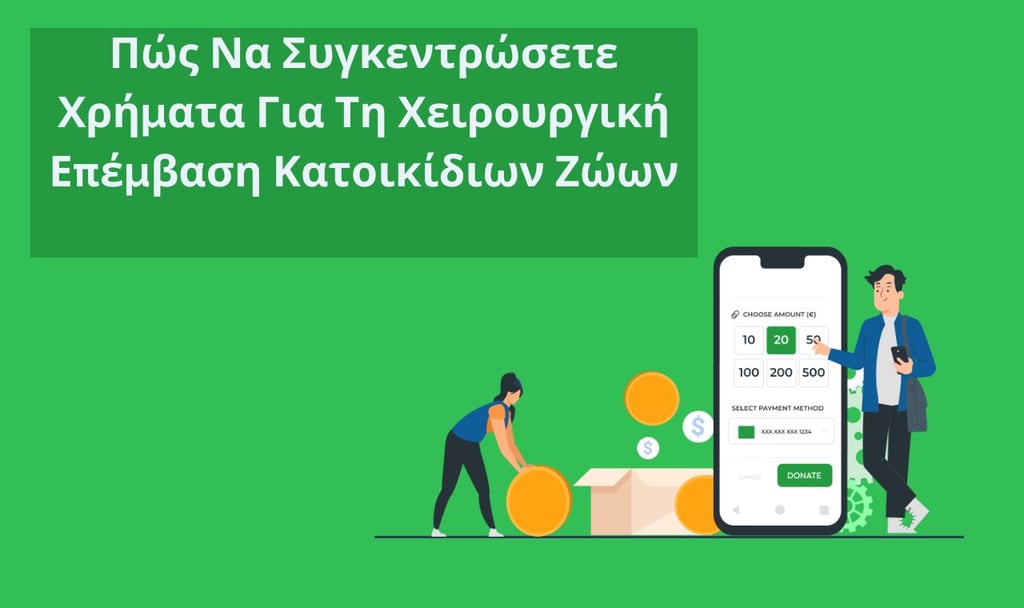 Επεξεργασία Πληρωμών Για Μη Κερδοσκοπικούς Οργανισμούς: Πλήρης Οδηγός