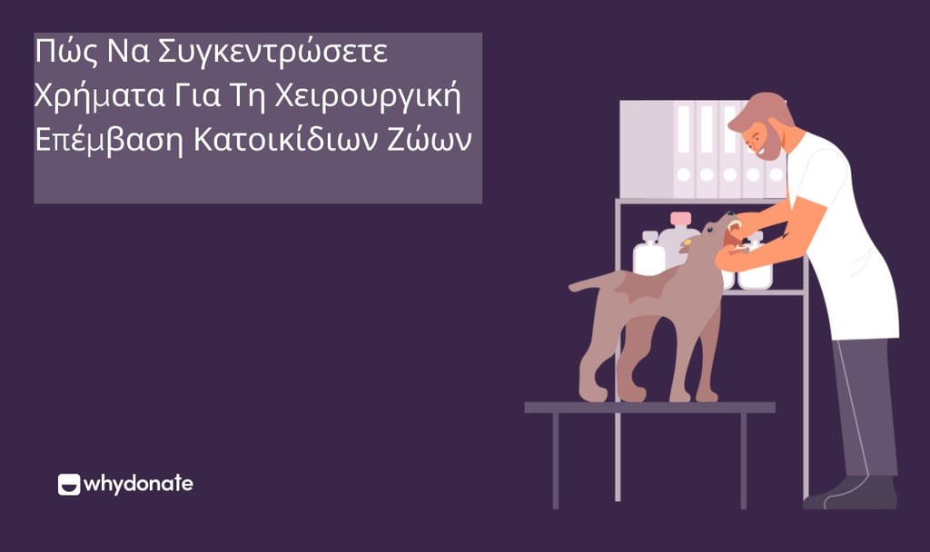 Πώς Να Συγκεντρώσετε Χρήματα Για Τη Χειρουργική Επέμβαση Κατοικίδιων Ζώων - Συγκέντρωση Χρημάτων Για Την Υγειονομική Περίθαλψη Των Κατοικίδιων Σας