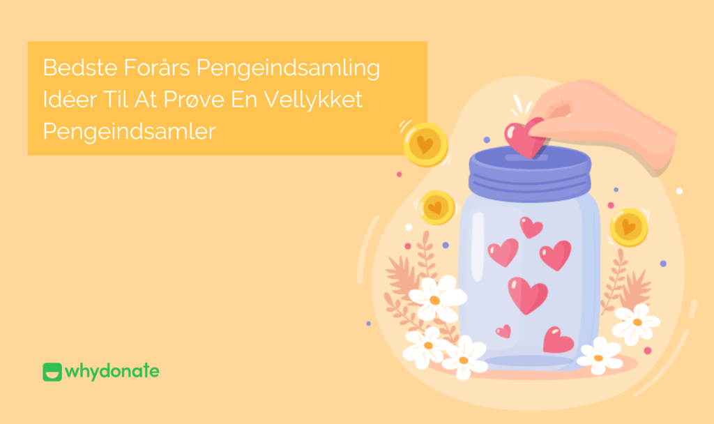 Forårs Pengeindsamling Idéer