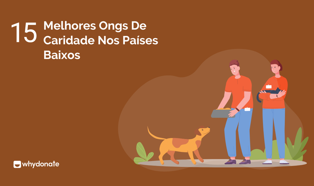 Melhores Ongs De Caridade Nos Países Baixos