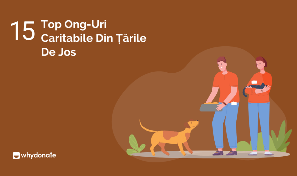 Top Ong-Uri Caritabile Din Țările De Jos