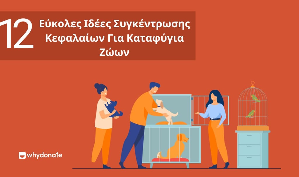 12 Εύκολες Ιδέες Συγκέντρωσης Κεφαλαίων Για Καταφύγια Ζώων