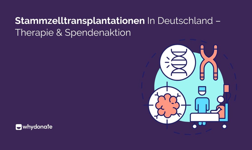 Stammzelltransplantationen