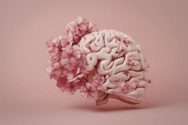 brain cancer fundraiser