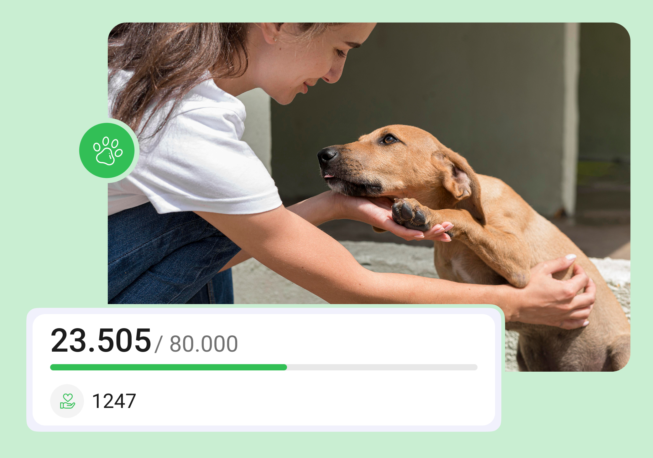 Animal Welfare Fundraising