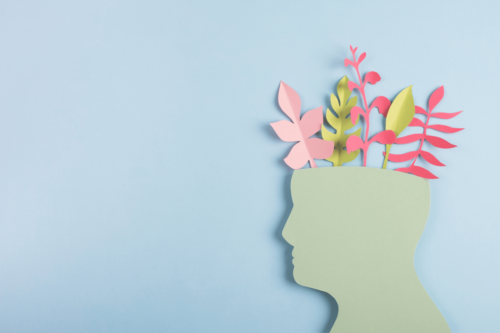 Mental health fundraiser