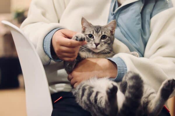 Raise Money For Animals