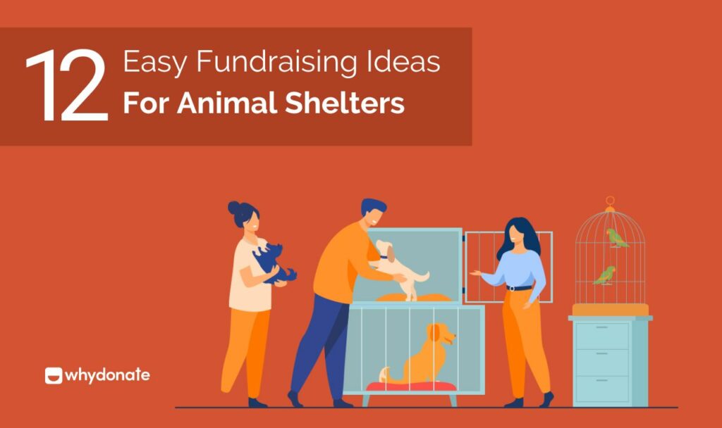 Fundraising Ideas For Animal Shelters