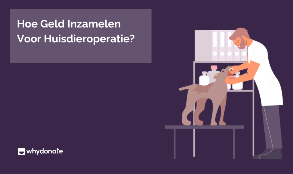 Hoe je voor Huisdier Operatie Geld kunt Inzamelen