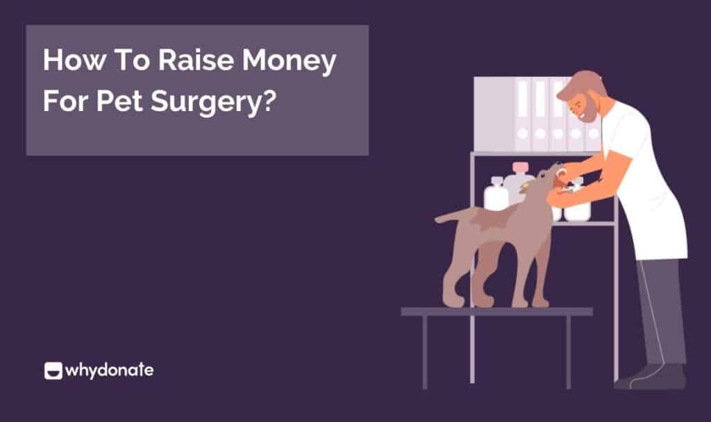 Pet Surgery