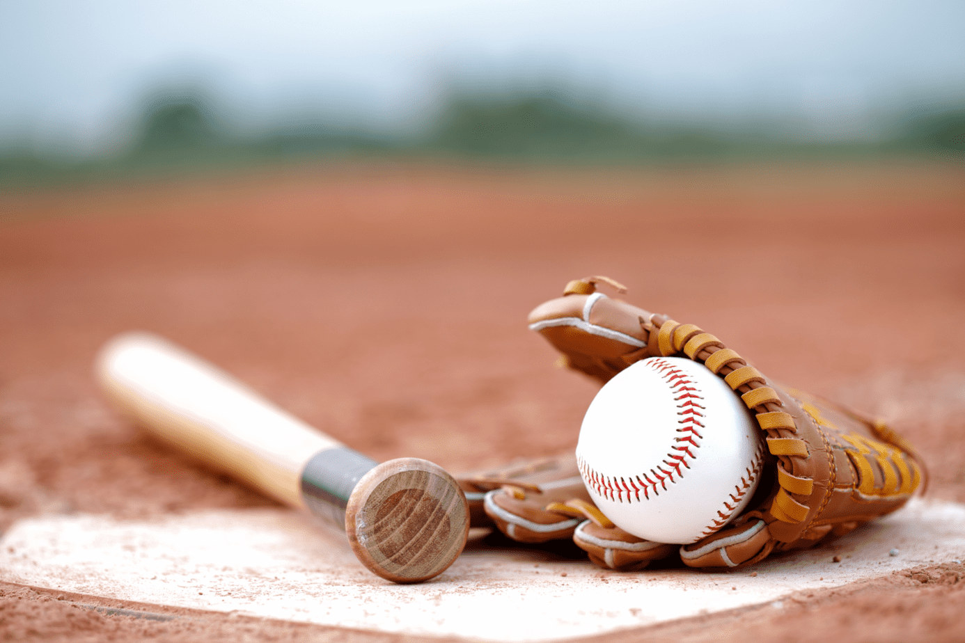 8 Creative Baseball Fundraising Ideas WhyDonate