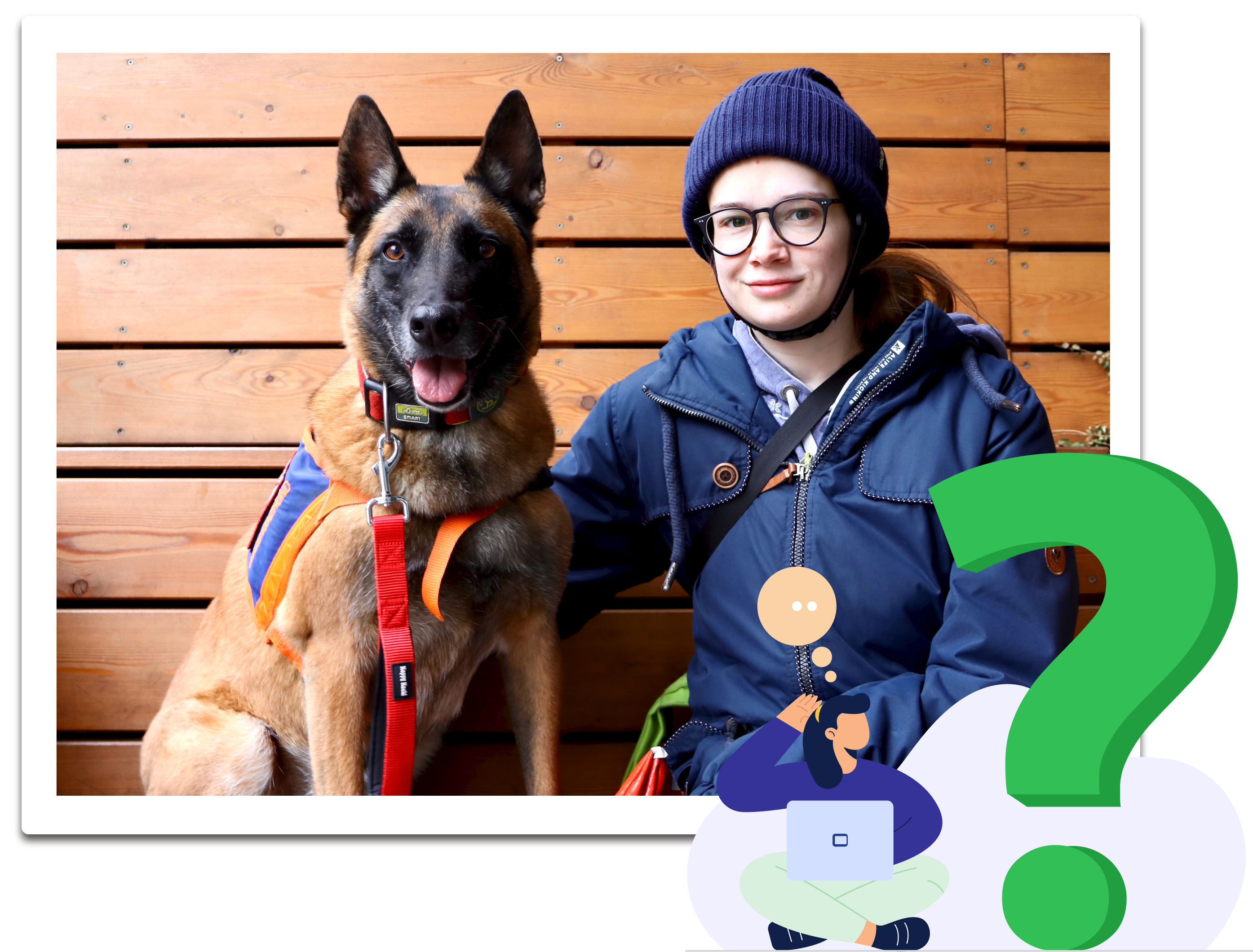 hulphond 1 Category Service Dog CS