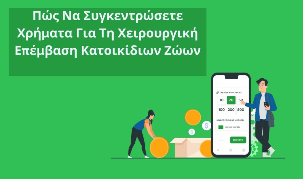 Πώς Να Συγκεντρώσετε Χρήματα Για Τη Χειρουργική Επέμβαση Κατοικίδιων Ζώων 1 Επεξεργασία Πληρωμών Για Μη Κερδοσκοπικούς Οργανισμούς: Πλήρης Οδηγός