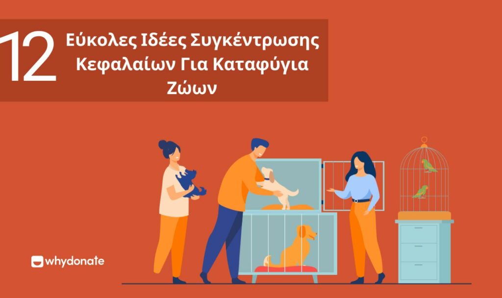Εύκολες Ιδέες Συγκέντρωσης Κεφαλαίων Για Καταφύγια Ζώων 12 Εύκολες Ιδέες Συγκέντρωσης Κεφαλαίων Για Καταφύγια Ζώων