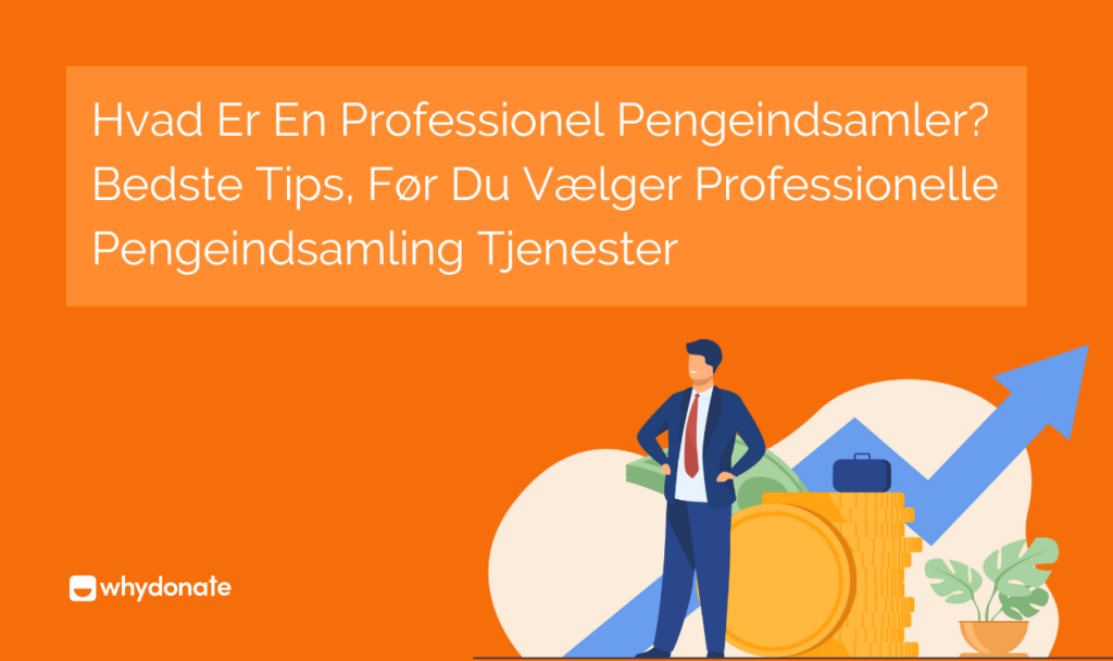 Professionel Pengeindsamler