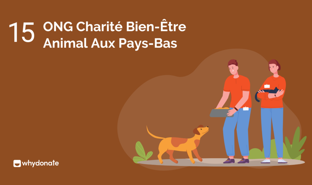 Charité Bien-Être Animal