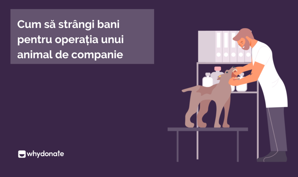 Cum să strângi bani pentru operația unui animal de companie