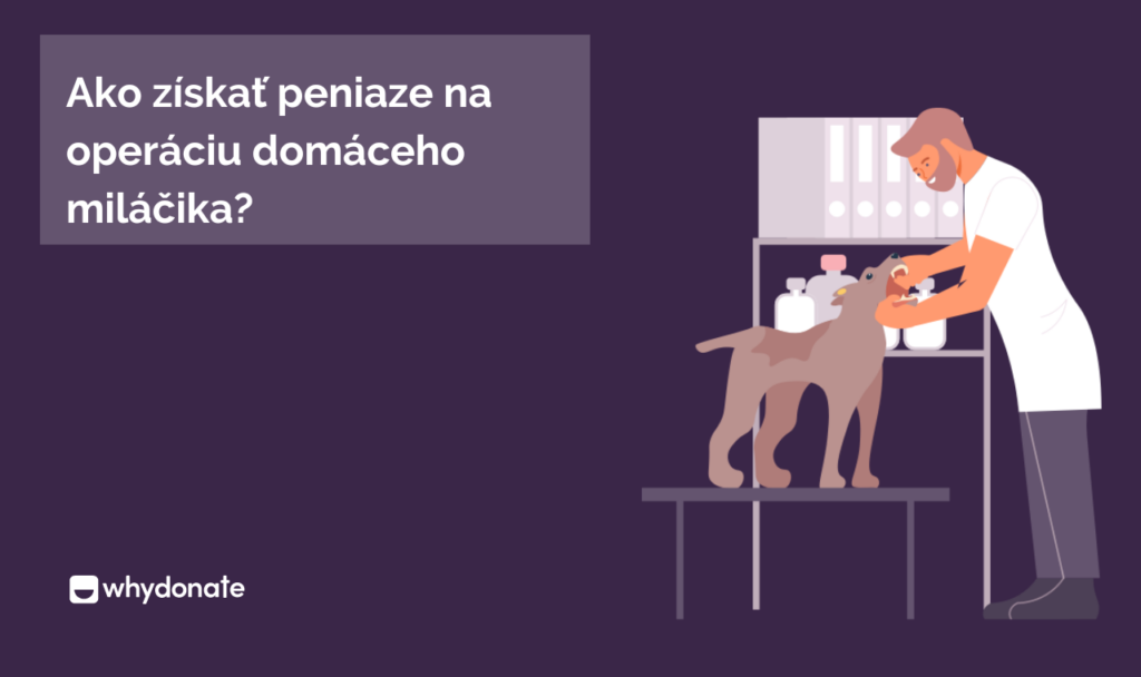 Ako získať peniaze na operáciu domáceho miláčika?