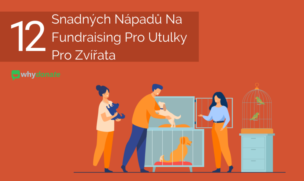 nápady na fundraising pro útulky pro zvířata