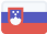 flagIcons.svg 23 See More