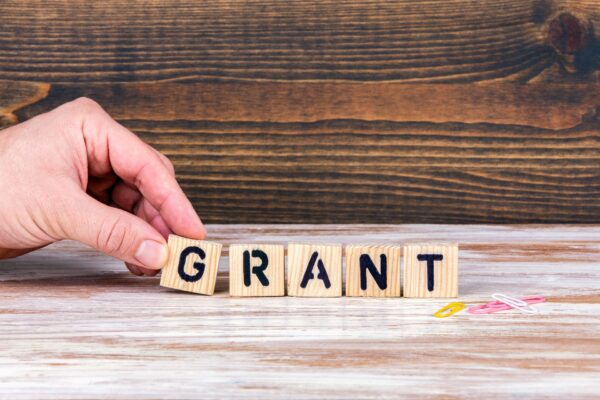 ivf grants