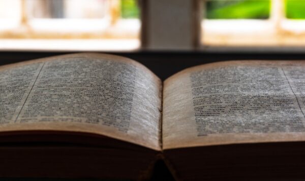 Kindergarten Spenden: 10 Effektive Strategien Zur Erfolgreichen Fundraising-Kampagne 3 Kindergarten spenden