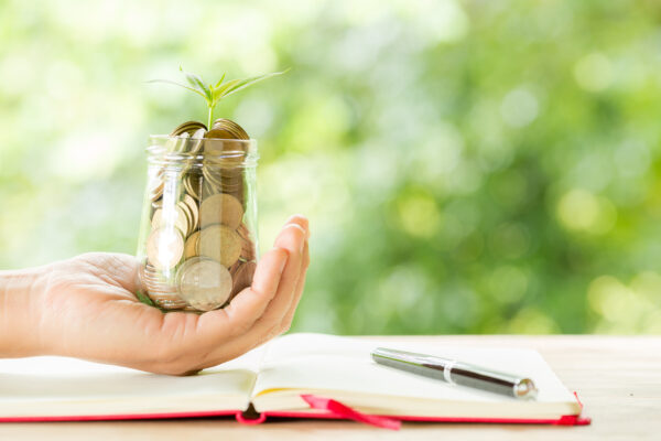 woman hand holding plant growing from coins bottle 10 Tipps für eine erfolgreiche Spendenaktion: So erreichst du deine Ziele