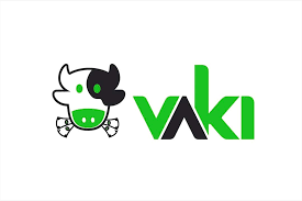 vaki logo 13 Meilleures Plateformes de Crowdfunding au Mexique