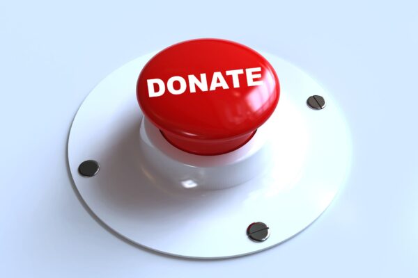 wix donations